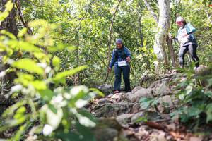 BIB: 
                            <button type="button" onclick="openModal(27699865)" class="btn btn-primary btn-sm float-right btn-popup" data-toggle="modal" data-target=".modal-high-quality">
                        <i class="fas fa-shopping-cart"></i> Add to Cart
                    </button>
                                            <button type="button" onclick="isThisMe(27699865, true)" class="btn btn-success btn-sm float-right btn-popup btn-isme hidden" data-toggle="tooltip" data-placement="bottom" title="นี่คือรูปของคุณใช่ไหม คลิกที่นี่เพื่อเอาเข้าอัลบั้ม">
                        <i class="fas fa-plus"></i> Add to album
                    </button>
                    <button type="button" onclick="isThisMe(27699865, false)" class="btn btn-warning btn-sm float-right btn-popup btn-isnotme hidden">
                        <i class="fas fa-ban"></i> Remove from album
                    </button>